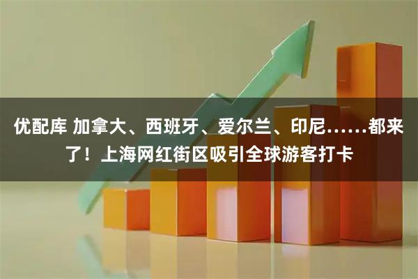 优配库 加拿大、西班牙、爱尔兰、印尼……都来了！上海网红街区吸引全球游客打卡